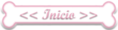 Inicio