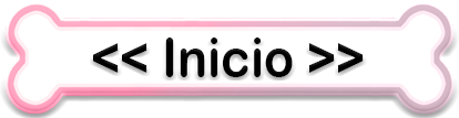 Inicio