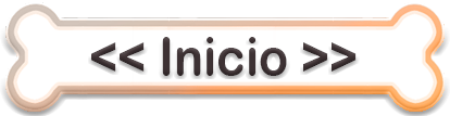 Inicio