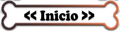 Inicio