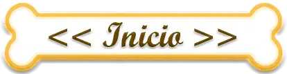 Inicio