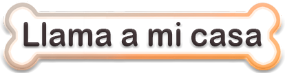 Llamar
